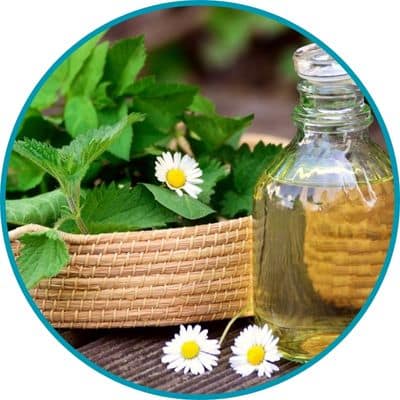 Healing Herbs